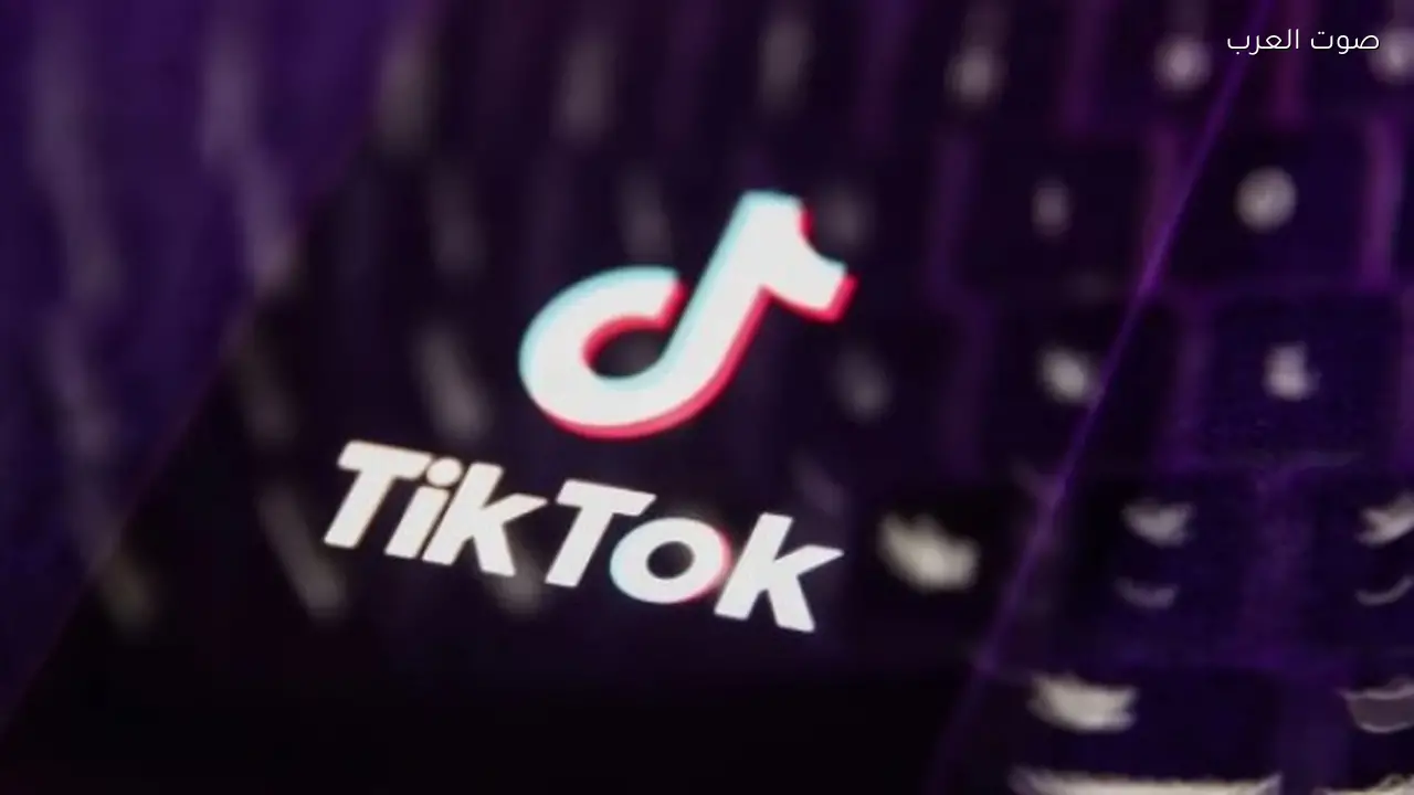 قرار قضائي بشأن التيك توكر عمر فرج وشقيقه أم عمر