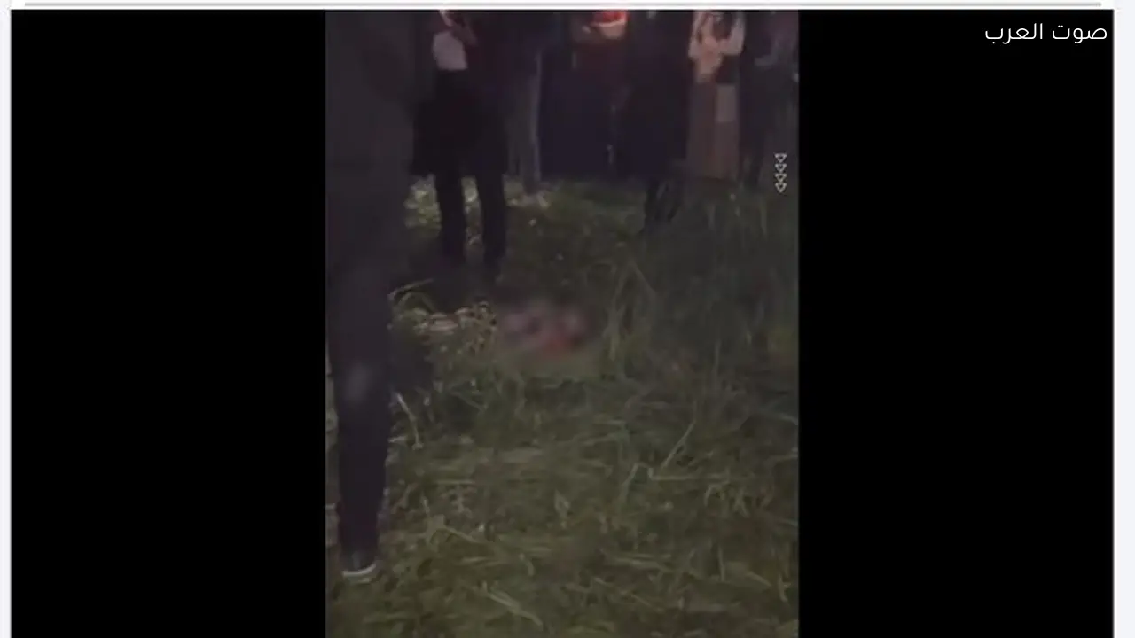 مباحث أسيوط تكشف ملابسات العثور على طفلين أحدهما مقتول في الزراعات