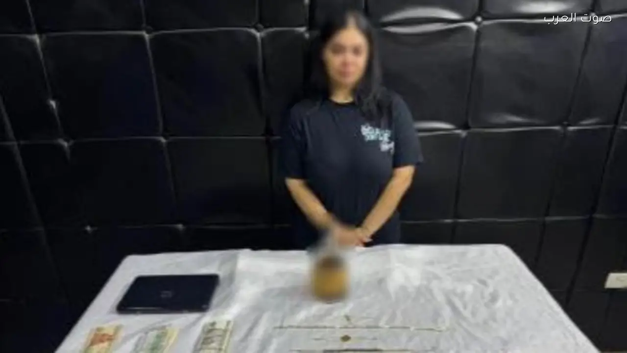 محاكمة البلوجر نرمين طارق بتهمة نشر محتوى خادش في 28 فبراير