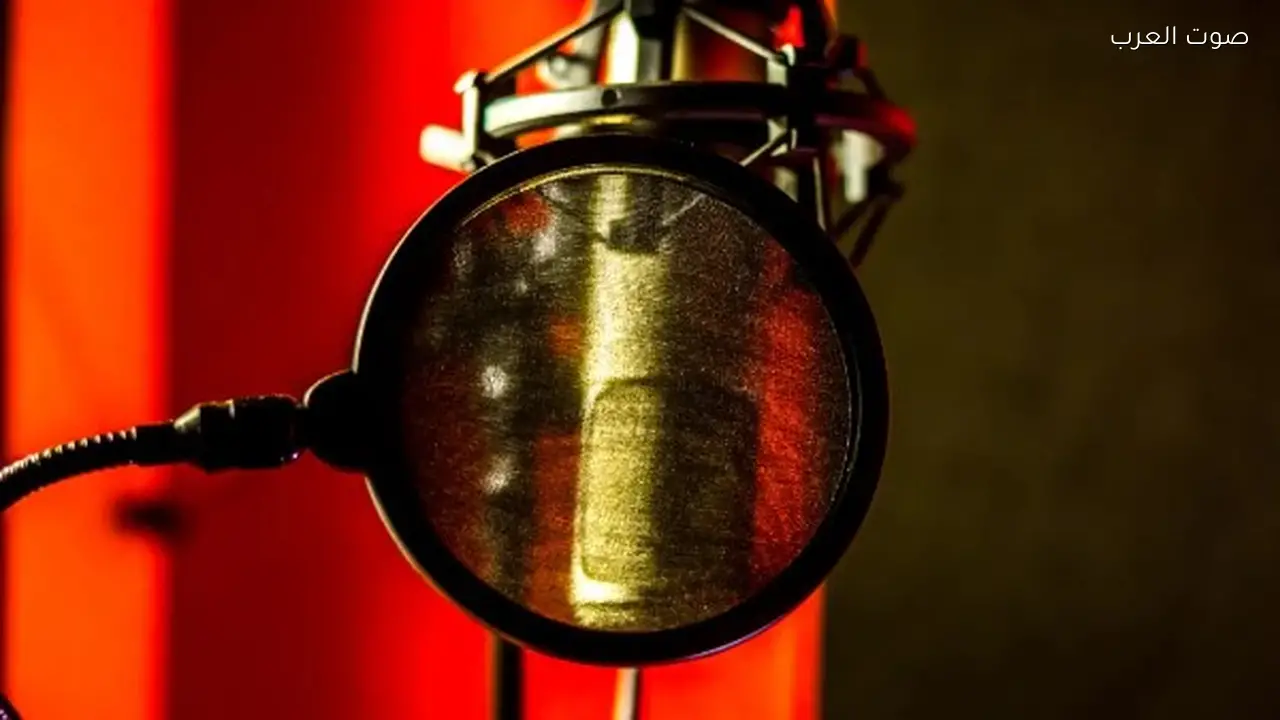 مذيع NPR يقاضي جوجل بتهمة سرقة صوته في NotebookLM