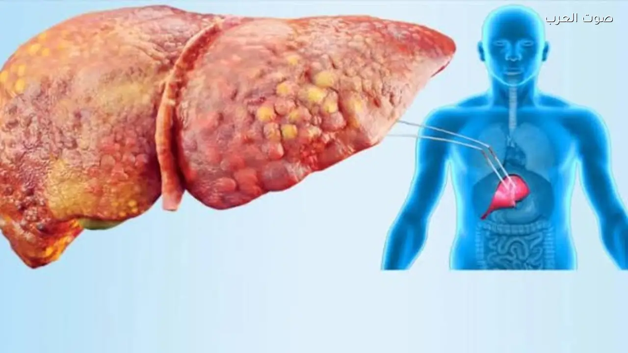 مشروب رخيص يعزز صحة الكبد في رمضان