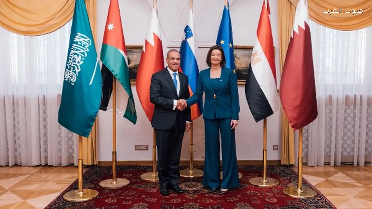 مصر تؤكد دعمها الثابت للقضية الفلسطينية في غزة