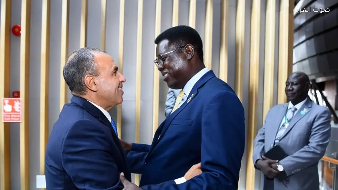 مصر تؤكد دعمها لتحقيق الأمن والاستقرار في جنوب السودان