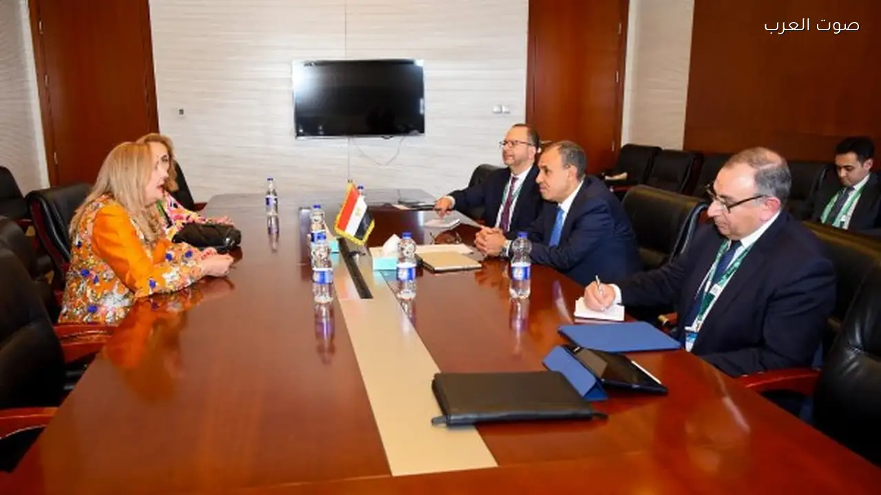 مصر تدعو مجلس الأعمال الأفريقي للمشاركة في فعاليات اقتصادية كبرى