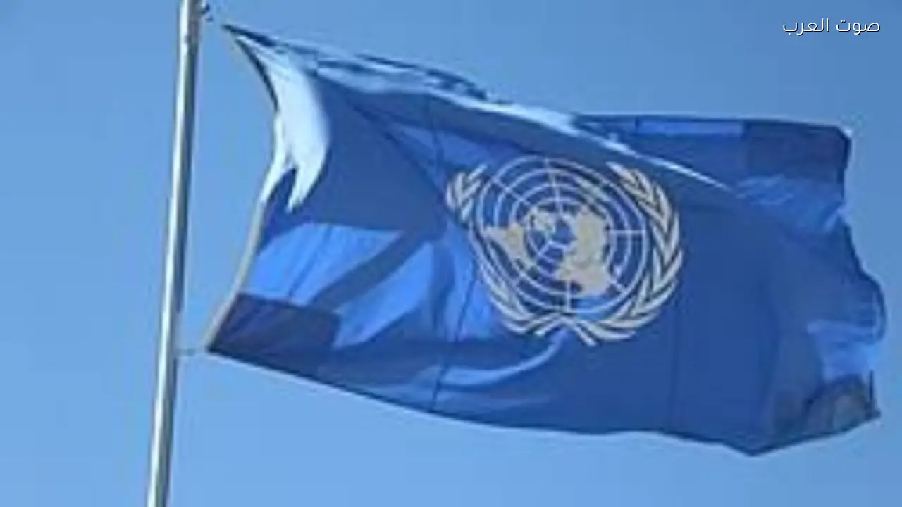 مصر تسهم بفاعلية في جهود إنهاء الحرب بالسودان