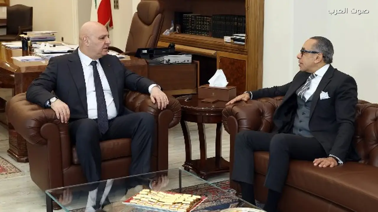 مصر تعلن التزامها بنجاح مؤتمر دعم الجيش اللبناني في باريس