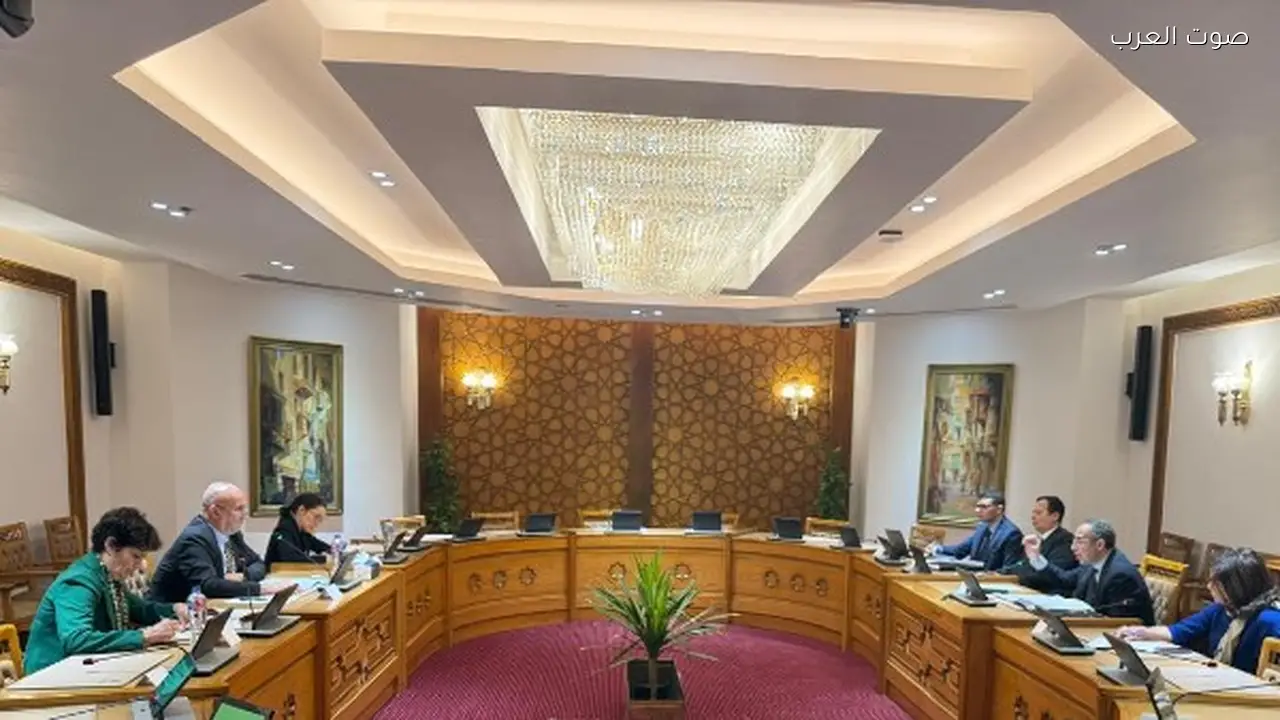 مصر والاتحاد الأوروبي يتبادلان المشاورات حول نزع السلاح