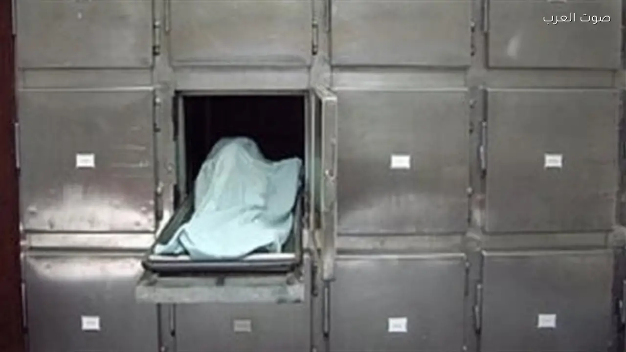 مصرع شابين في حادث تصادم موتوسيكلين بالدقهلية