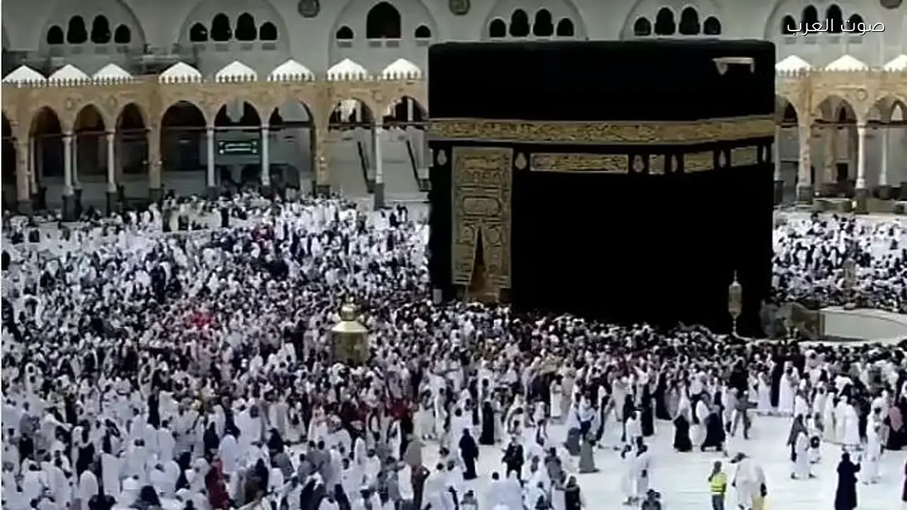 منصة «دليل المصلي» الإلكترونية تقدم خدماتها بـ7 لغات لضيوف الرحمن