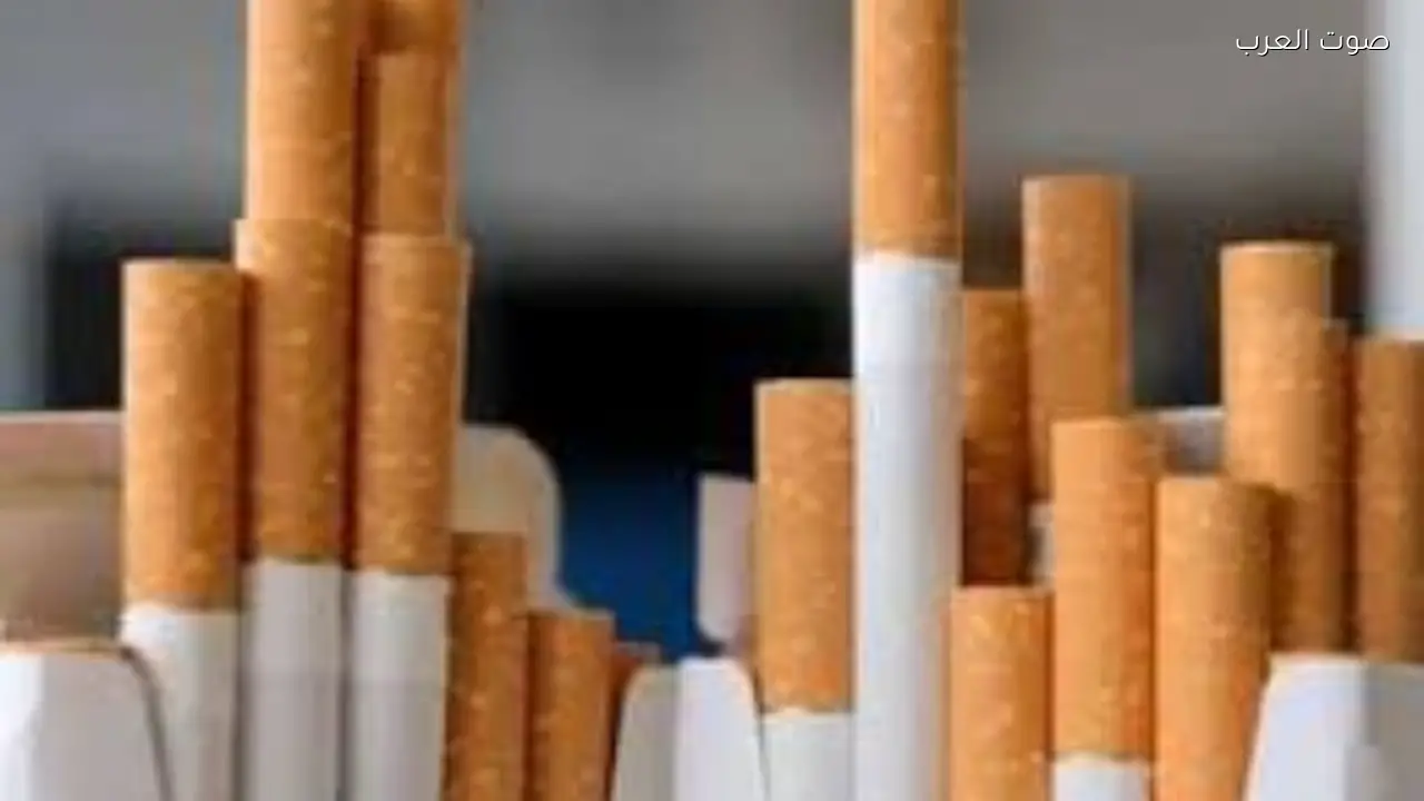 موعد تطبيق الزيادة الجديدة في أسعار السجائر