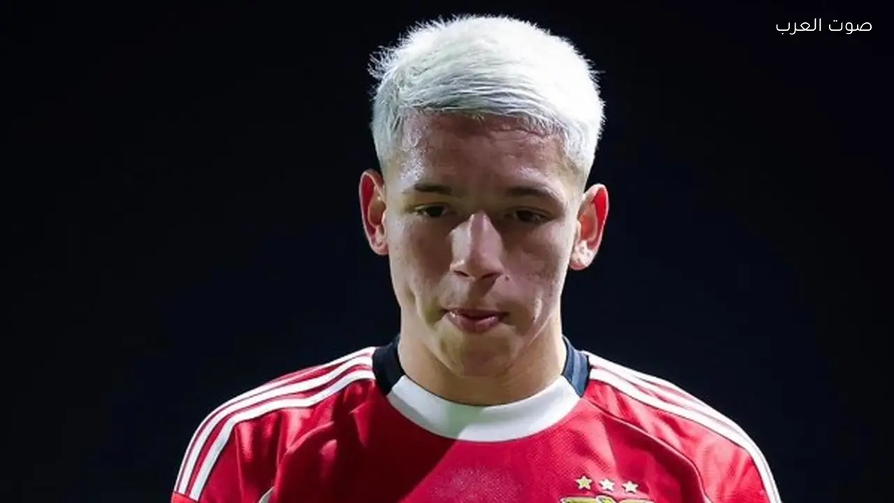 نجم بنفيكا يرد على اتهامات العنصرية ضد فينسيوس جونيور