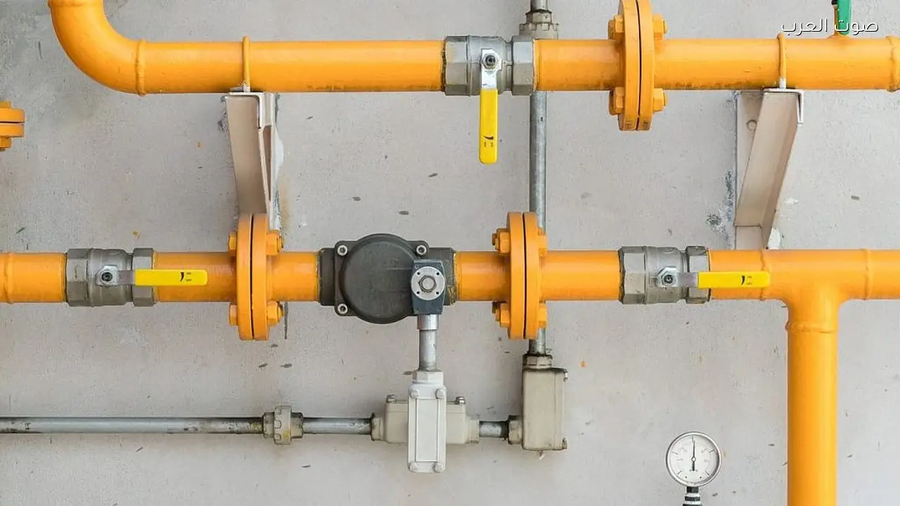 نشر لائحة نشاط شبكة الغاز للأغراض السكنية والتجارية في الجريدة الرسمية