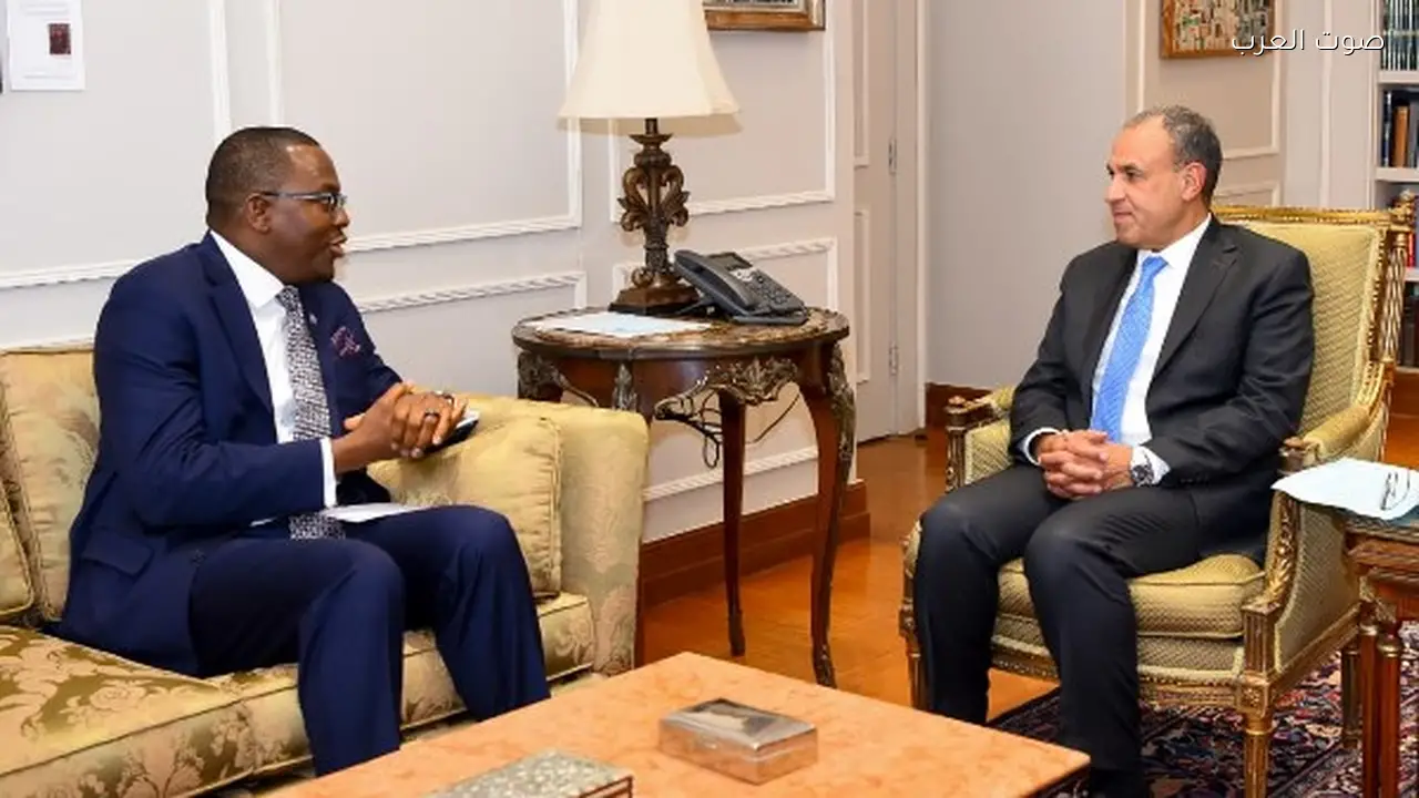 وزير الخارجية: إصلاح مجلس الأمن ضروري لإنصاف أفريقيا