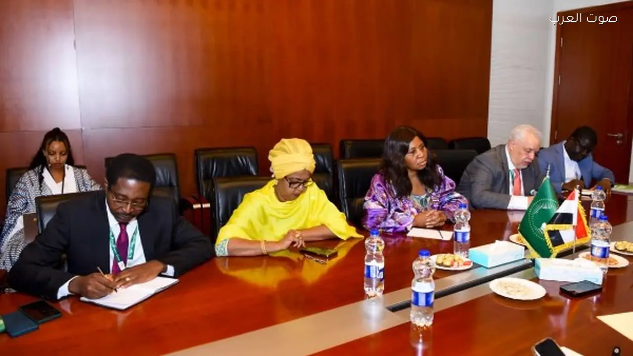 وزير الخارجية: توافق أفريقي موحد بشأن الديون يعزز التنسيق القاري