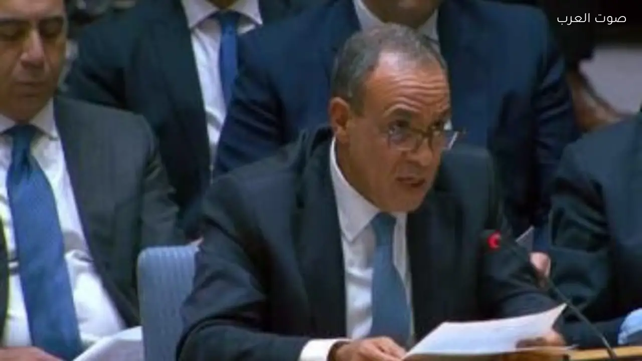 وزير الخارجية ي reaffirm موقف مصر الثابت من القضية الفلسطينية