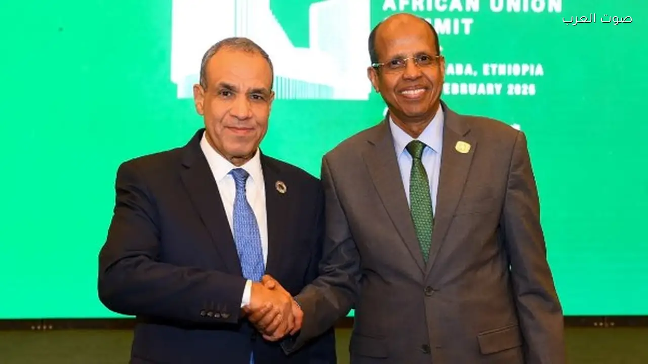 وزير الخارجية يؤكد: حوكمة البحر الأحمر مسؤولية الدول المحيطة فقط