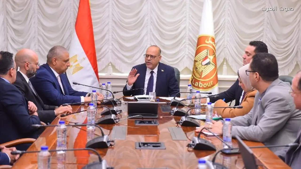 وزير العمل يعلن شراكة جديدة مع ليوني مصر لتصنيع كابلات السيارات