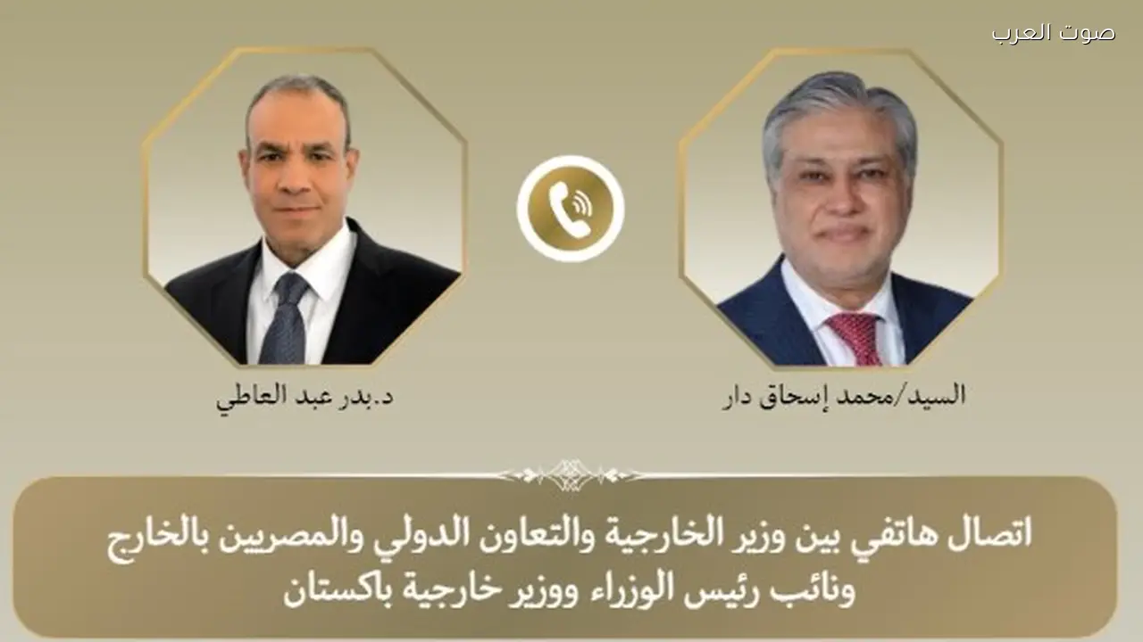 وزيرا خارجية مصر وباكستان يناقشان تطورات غزة والأوضاع الإقليمية