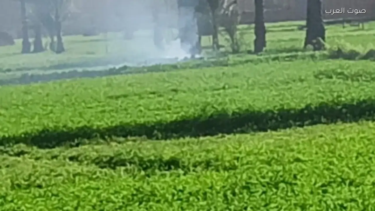 وزيرة التنمية المحلية تأمر باتخاذ إجراءات قانونية ضد حرق المخلفات الزراعية في الشرقية