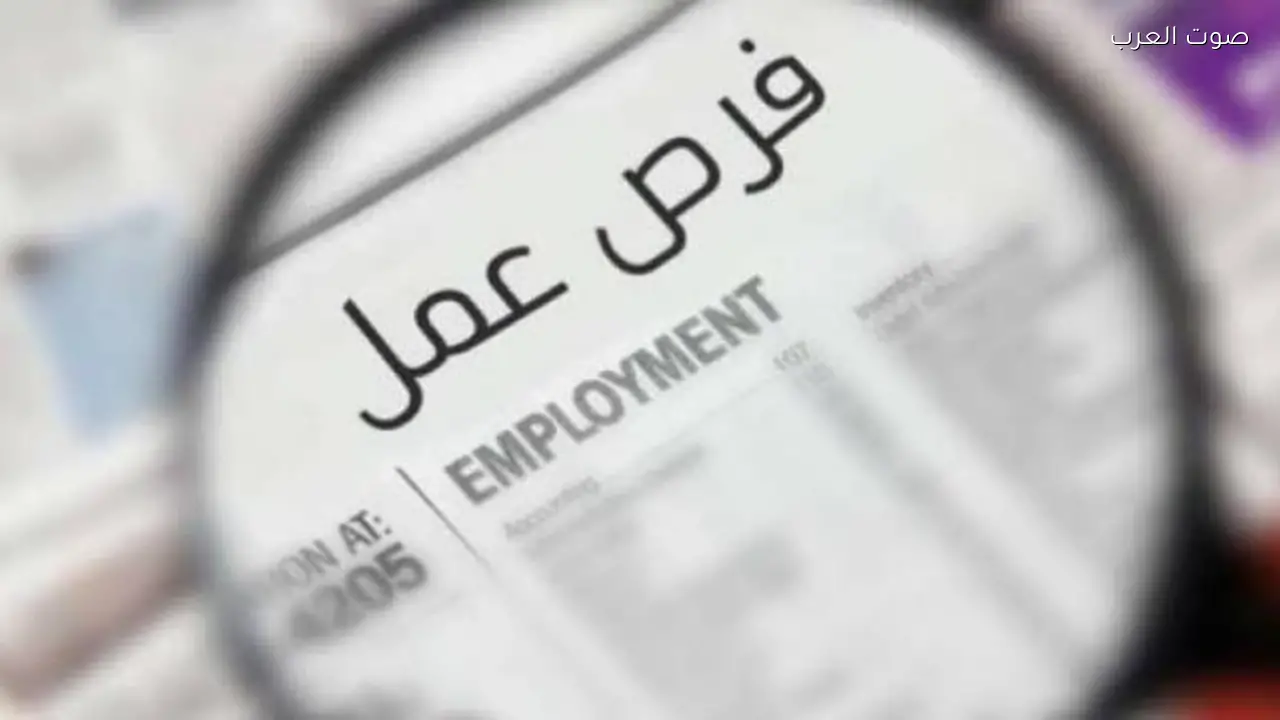 وظائف شاغرة في التنظيم والإدارة وهيئة السكة الحديد