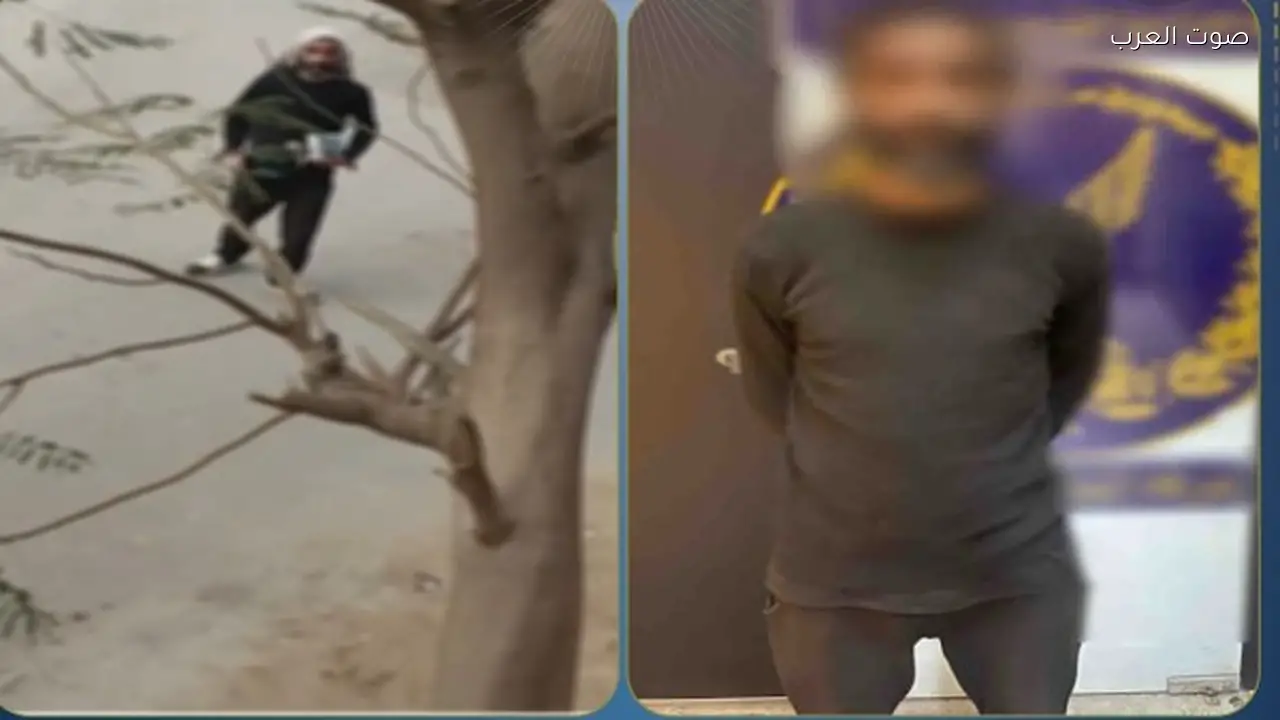 القبض على مريض نفسي ارتكب أفعال خادشة للحياء في الشارع